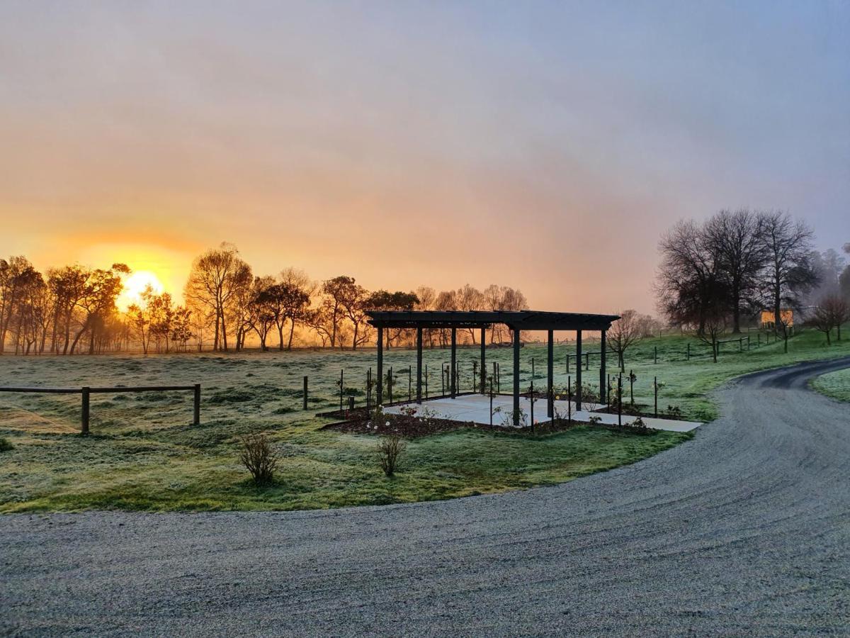 Tallawarra Homestead Tonimbuc Dış mekan fotoğraf