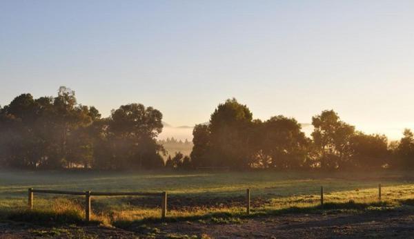 Tallawarra Homestead Tonimbuc Dış mekan fotoğraf
